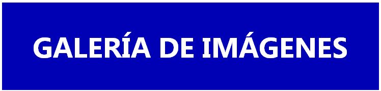 Galería de imágenes Encuentro Territoriales - Mediadores Asturias 2025